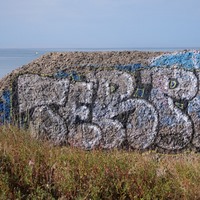 Photo de France - La randonnée de la Tamarissière